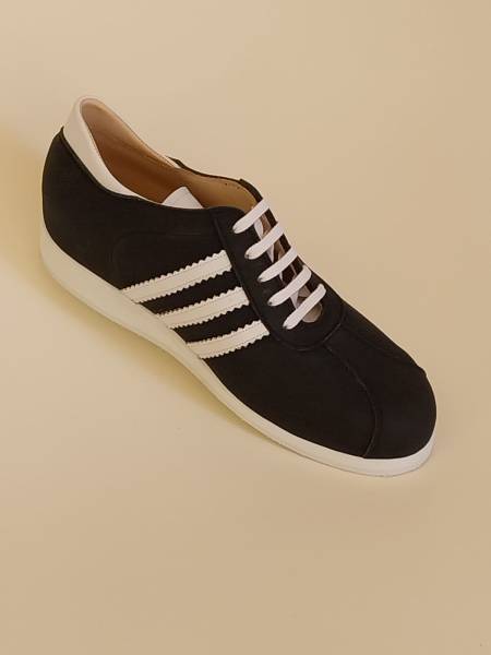 Basket Homme Lille Seclin Cavrin